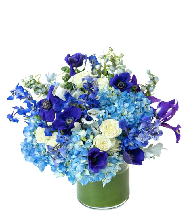 Stunning Sapphire