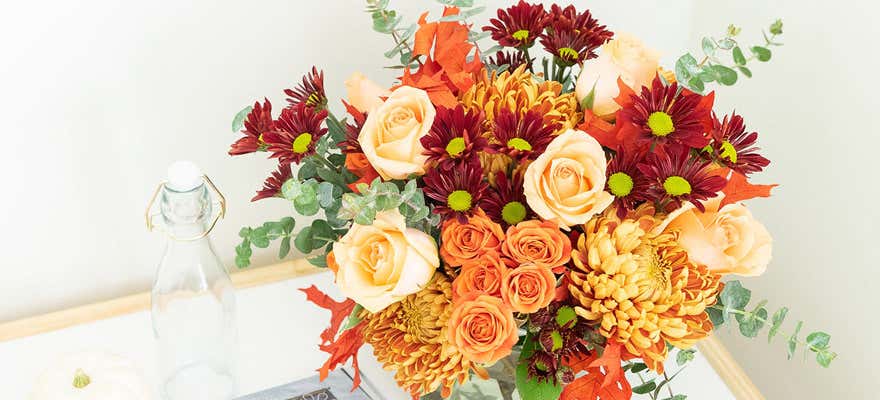 Shop Same Day Flowers