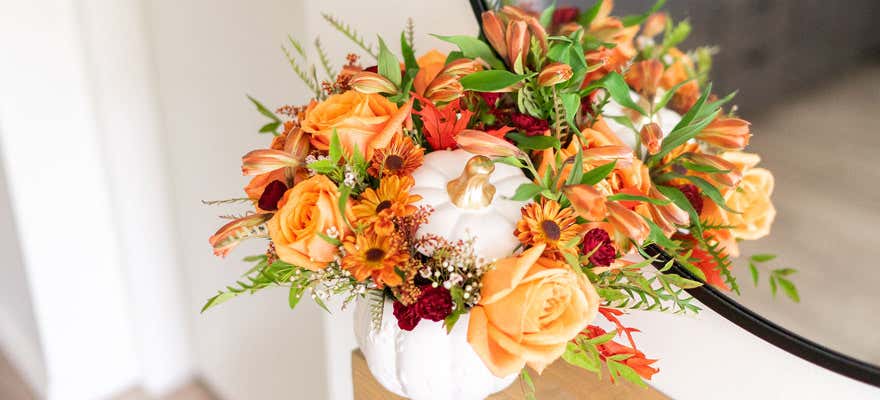 Shop Our Instagram Favorites
